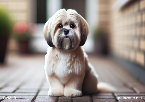 Top Ten Disadvantages of Keeping Dogs at Home Top Ten Disadvantages of Keeping Dogs at Home