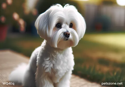 Is it a problem if scratched by my own pet dog (a few months old) with slight bleeding