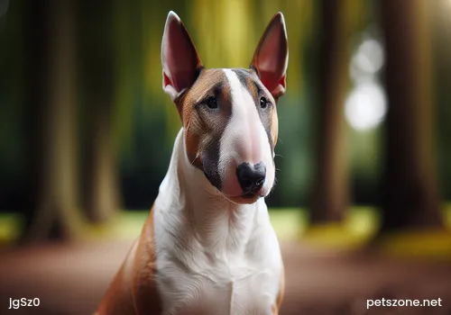 Why does the baby always fuss before sleeping?