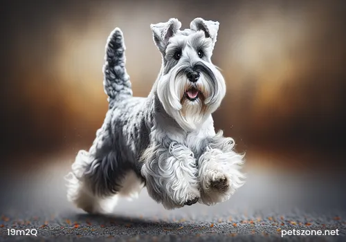 Required Course for Qualified Owners, Comprehensive Analysis of Dog's Inner Thoughts Required Course for Qualified Owners, Comprehensive Analysis of Dog's Inner Thoughts