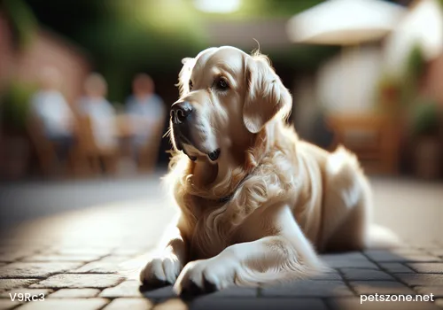 What’s going on if a Poodle has worms in its stomach