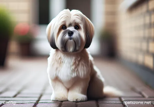 Indispensable Protein Components in Dog Food Indispensable Protein Components in Dog Food