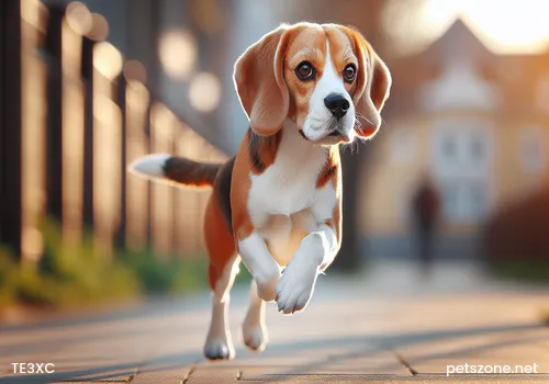 Can Dogs Eat Plums
