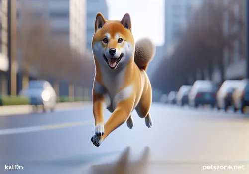 Husky's Gastrointestinal Function Husky's Gastrointestinal Function