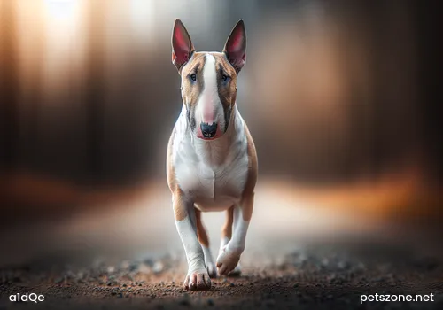 Guaranteeing Dog Scientific Diet is Very Important Guaranteeing Dog Scientific Diet is Very Important
