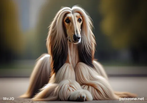Factors Causing Psychological Abnormalities in Dogs Factors Causing Psychological Abnormalities in Dogs