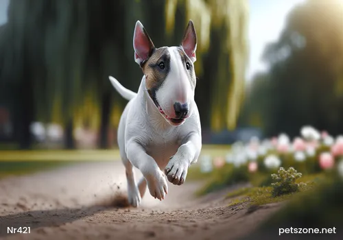 Don't know which breeds there are, which breed of dog is suitable to raise at home?