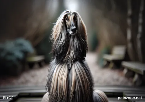 How to know if a Border Collie is purebred? How to know if a Border Collie is purebred?