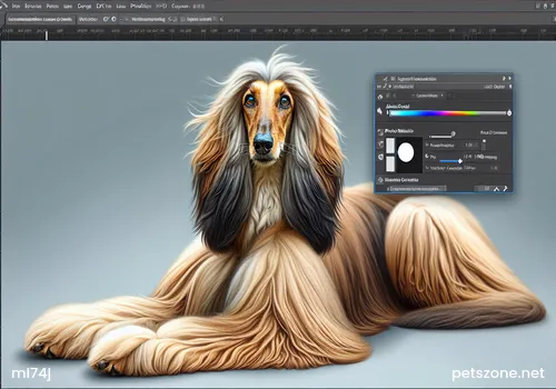 Dog Eye Care Methods Dog Eye Care Methods