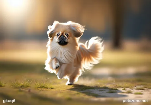 What to Do If a Dog Gets a Fishbone Stuck What to Do If a Dog Gets a Fishbone Stuck