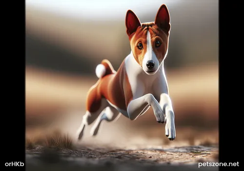 What Are the Signs When a Husky Is in Heat? What Are the Signs When a Husky Is in Heat?