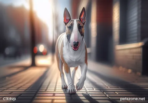 When to Deworm Dogs