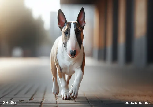 The Secret of Pet Taste Revealed, Finding Your Beloved Pet's Favorite Delicious Food The Secret of Pet Taste Revealed, Finding Your Beloved Pet's Favorite Delicious Food