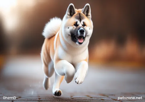 Is it difficult to train a dog to fetch things Is it difficult to train a dog to fetch things