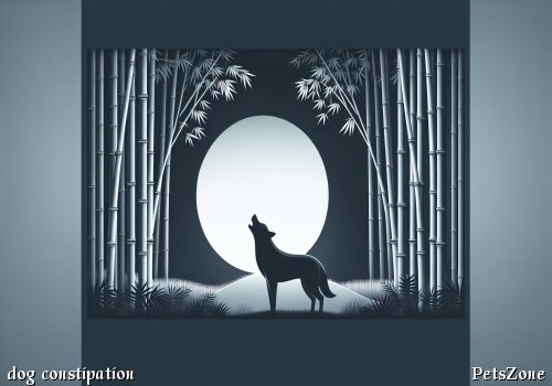 What to Do If a Dog Does Not Defecate