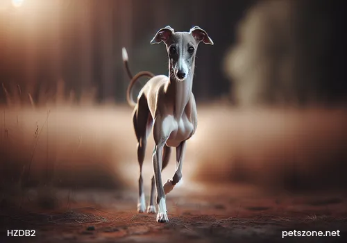 Five Things Pet Owners Must Not Do to Dogs Five Things Pet Owners Must Not Do to Dogs