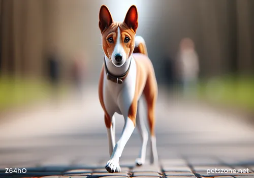 What to Do If a Dog Refuses to Drink Water What to Do If a Dog Refuses to Drink Water