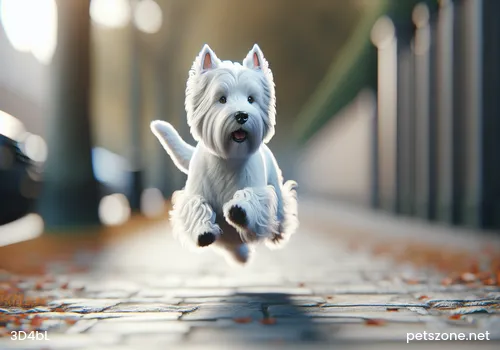 How to Manage Your Own Fierce Dog Properly How to Manage Your Own Fierce Dog Properly