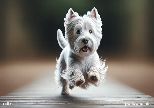 What to Do When a Dog Is Picky Eater What to Do When a Dog Is Picky Eater
