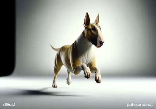 What to Do If a Dog's Teeth Are Yellow