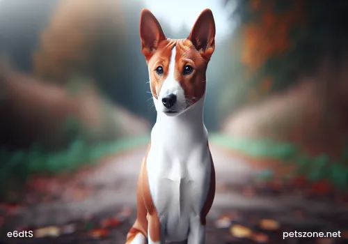 If going on a business trip, how much dog food should be poured for the dog? If going on a business trip, how much dog food should be poured for the dog?