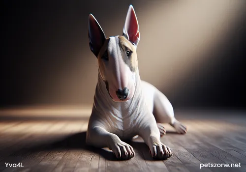 Which Dogs Do Not Shed Hair? Do You Know These Top Ten Non-Shedding Dogs? Which Dogs Do Not Shed Hair? Do You Know These Top Ten Non-Shedding Dogs?