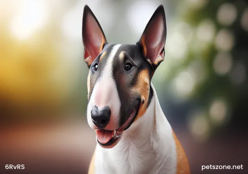 What aspects need attention in 'How to train a German Shepherd'?  What aspects need attention in 'How to train a German Shepherd'?