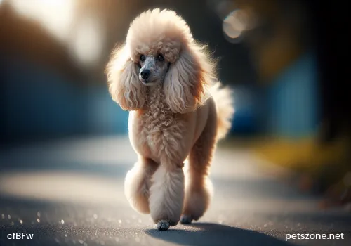 What is the significance of measuring a dog's body temperature What is the significance of measuring a dog's body temperature
