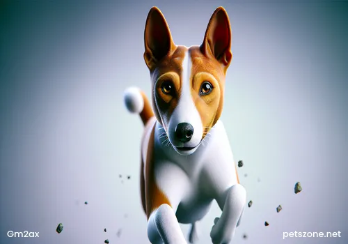 How to Lose Weight When Dogs Are Fat  How to Lose Weight When Dogs Are Fat