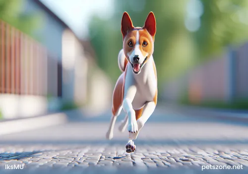 What are the methods of calcium supplementation for Malinois puppies? What are the methods of calcium supplementation for Malinois puppies?