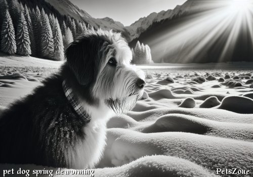 The Most Important Deworming for Pet Dogs in Spring