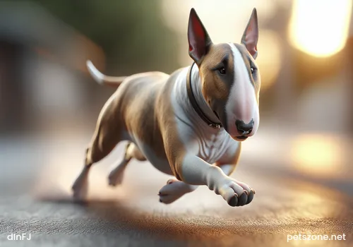 How Socialized Is Your Dog How Socialized Is Your Dog