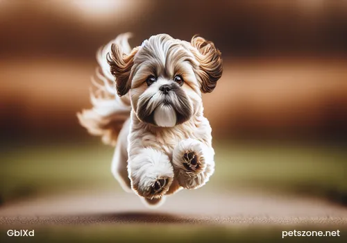 Bulldog personality Bulldog personality
