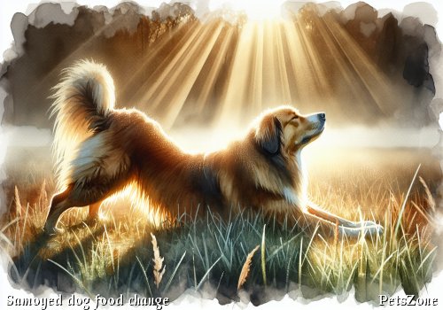 How to Change Dog Food for Samoyeds