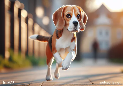 Dog's Home Health Check Method Dog's Home Health Check Method
